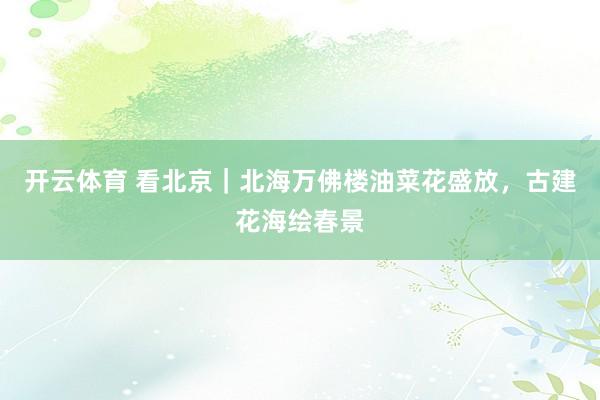 开云体育 看北京｜北海万佛楼油菜花盛放，古建花海绘春景